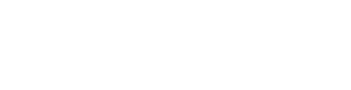 Succecs Logotyp